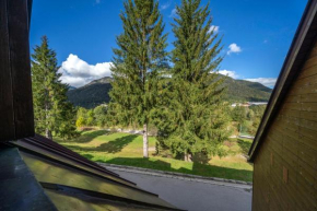 Tarvisio Tre Confini Functional Apartment Tarvisio